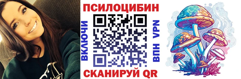 Псилоцибиновые грибы Psilocybe Ясногорск
